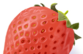 イラスト「イチゴ　いちご　苺」01ぶち。