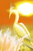 イラスト「鷺　秋　夕日」ririka